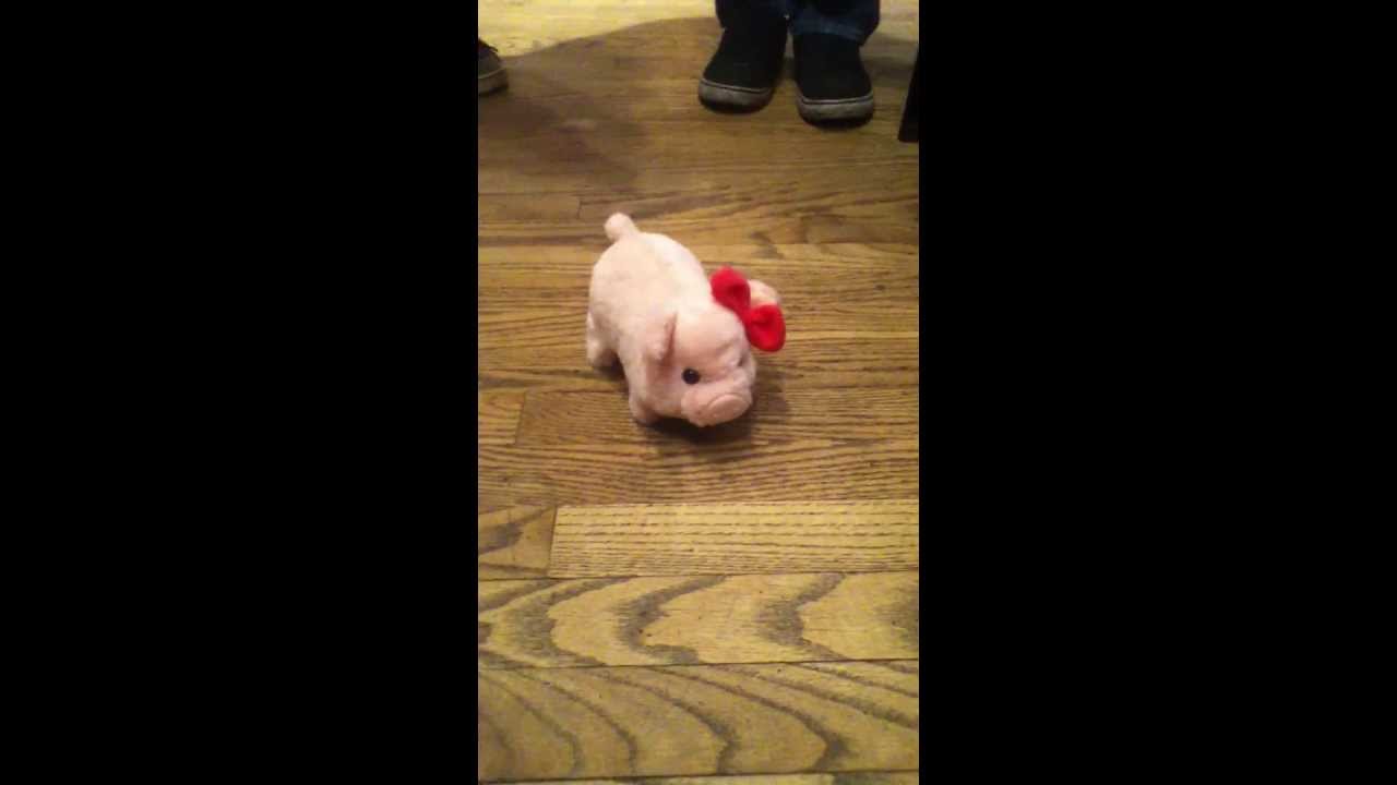 Cute Piggy Toy At Cracker Barrel For My Birthday C Youtube