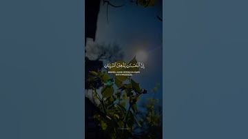 [ ان الحسنات يذهبن السيئات ] حالات واتس اب قرآن كريم | احمد البشير