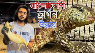 গরুর খামারে গুই শাপ উদ্ধার করতে গেলাম।Pet Vlog