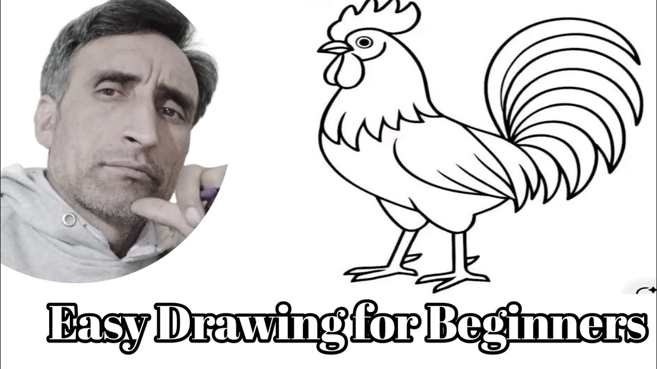 Easy Rooster Drawing for Beginners //Step by Step Chicken Drawing