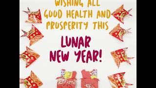 Happy Lunar New Year 2019!