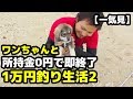【一気見】所持金0円で即終了【1万円釣り生活 VOL.2】
