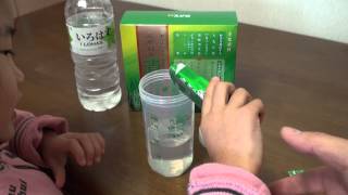 えがおの青汁×お水の簡単レシピ・「くまもんふりふりシェイカー」