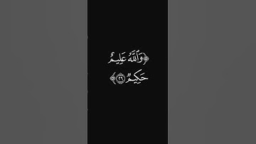 (ويتوب عليكم) #قرآن #ليدّبّروا_آياته #راحة_نفسية #شاشه_سوداء #سورة_النساء #عبدالرحمن_ريس #quran
