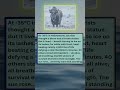 Tourists in Yellowstone thought a bison was a frozen statue at  35°C