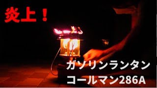 ガソリンランタン　コールマン286A 　夜点灯