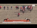 Final del campeonato de España de Galgos en Campo (03/02/2017)