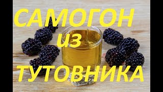 Самогон из тутовника (шелковицы) от БРАГИ до РЕКТИФИКАТА.