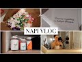 NAPI VLOG - az első ♥ SKAB fotózás, kozmetikus + egy kis lelkizés  | Kata Baumgartner