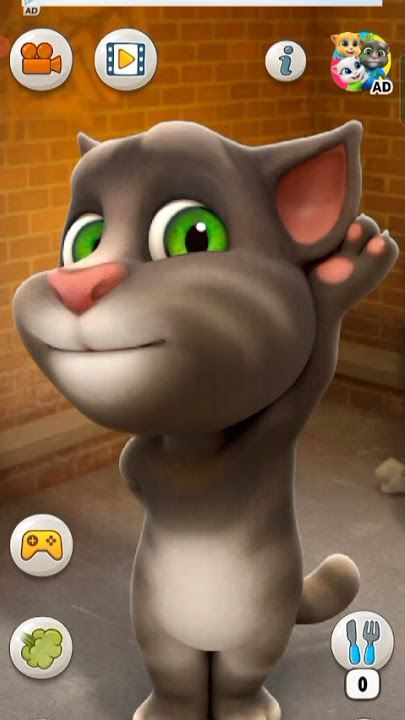 Talking Tom |#dfm tom singer