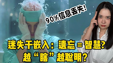 AI为什么会“看错”？我们找到了它视觉里的“信息黑洞”｜深度解读《迷失于嵌入》：VLM的“连接器”如何丢失关键视觉信息？