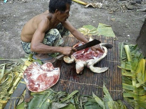 Banyuwangi Sea Turtle Foundation (www.bstf.org). 