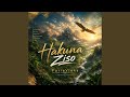 Hakuna Ziso Rati Raona 