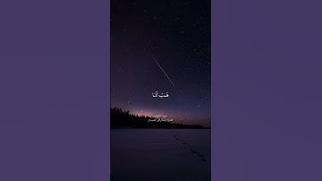 تلاوة عطرة للقاريء عبدالرحمن الحميداني | حالات واتس اب