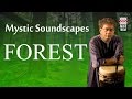 Mystic Soundscapes: Forest | Audio Jukebox | Instrumental | World Music | Taufiq Qureshi