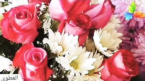 سورة المزمل،، الشيخ صلاح بو خاطر