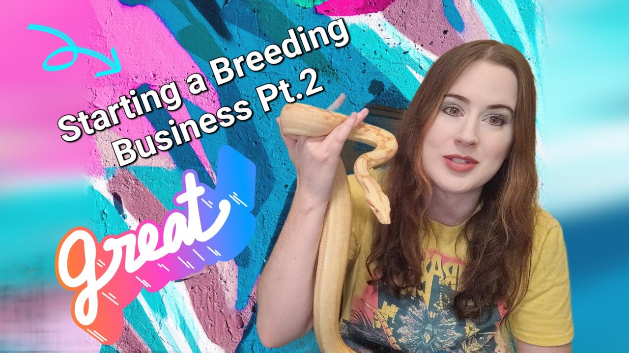 Starting a Breeding Business Part 2! 🐍 YouTube
