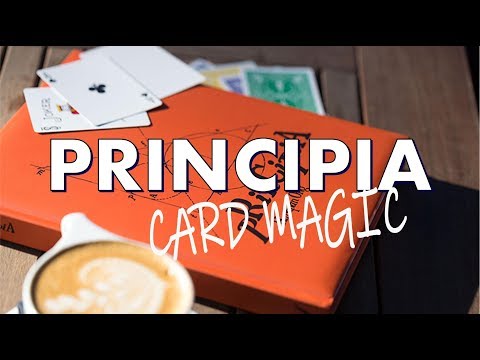 Principia review
