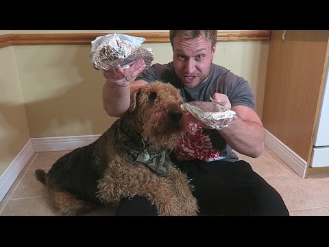 Man vs Dog - Round 5 - Burrito Off! | Furious Pete | Food Eating Challenge