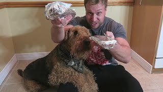 Man vs Dog - Round 5 - Burrito Off!