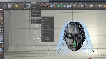 Set Start Position of Hair in Cinema 4d - 15 Second Cinema 4D Tutorials