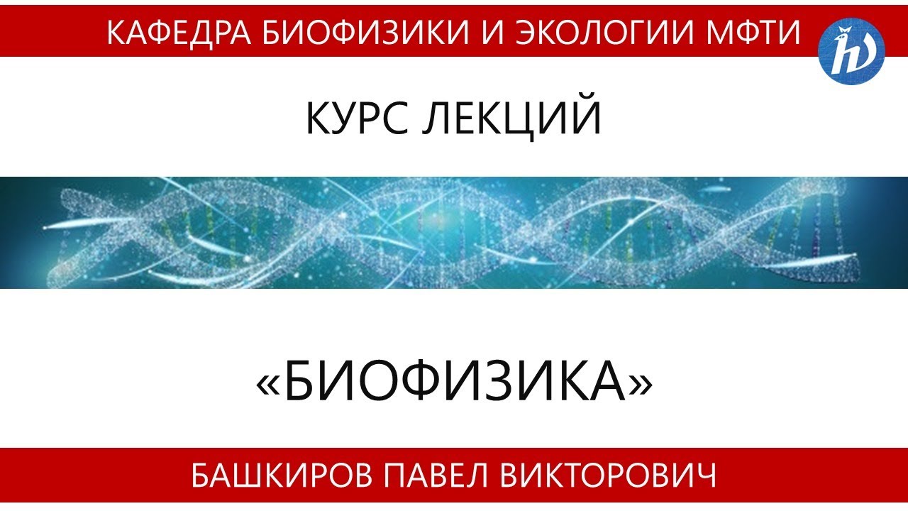 Биофизика сайт. Медицинская биофизика. Рубин биофизика. Биофизика человека. Биофизика зрения.