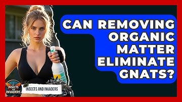 Can Removing Organic Matter Eliminate Gnats? - Insects and Invaders