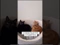Отношения - это не соревнование
