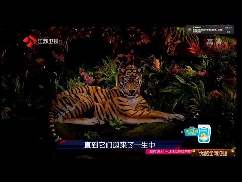 Animal Illusions by Johannes Stoetter on Chinese Talent Program BEYOND SHOW