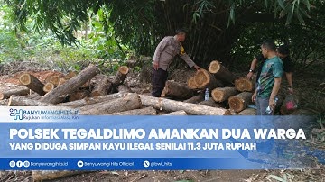 Polsek Tegaldlimo Amankan Dua Warga yang Diduga Simpan Kayu Ilegal Senilai 11,3 Juta Rupiah