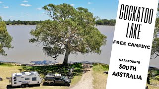 This is a great campsite near naracoorte in south australia. you just
make small donation to stay here and get enjoy the big grassy sites
sunsets over lake while cockatoo's are ...