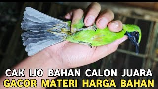 Download Lagu GUDANGNYA CAK IJO BAHAN CALON JUARA GACOR KATEMAN HARGA BAHAN DI PASAR BURUNG PRAMUKA MP3 Download Lagu GUDANGNYA CAK IJO BAHAN CALON JUARA GACOR KATEMAN HARGA BAHAN DI PASAR BURUNG PRAMUKA MP3