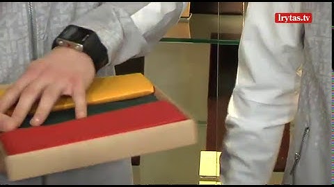 Į Pjongčangą išvykę Lietuvos olimpiečiai prakalbo apie medalį