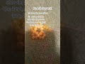 kandi star tutorial! #kandi #kandistar #shorts #tut #tutorial #kanditut #kanditutorial
