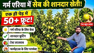 गर्म एरिया में सेब की खेती 🧑‍🌾 