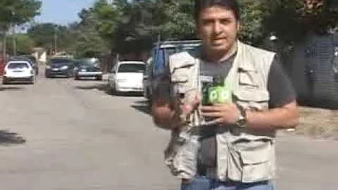 Andrs limon