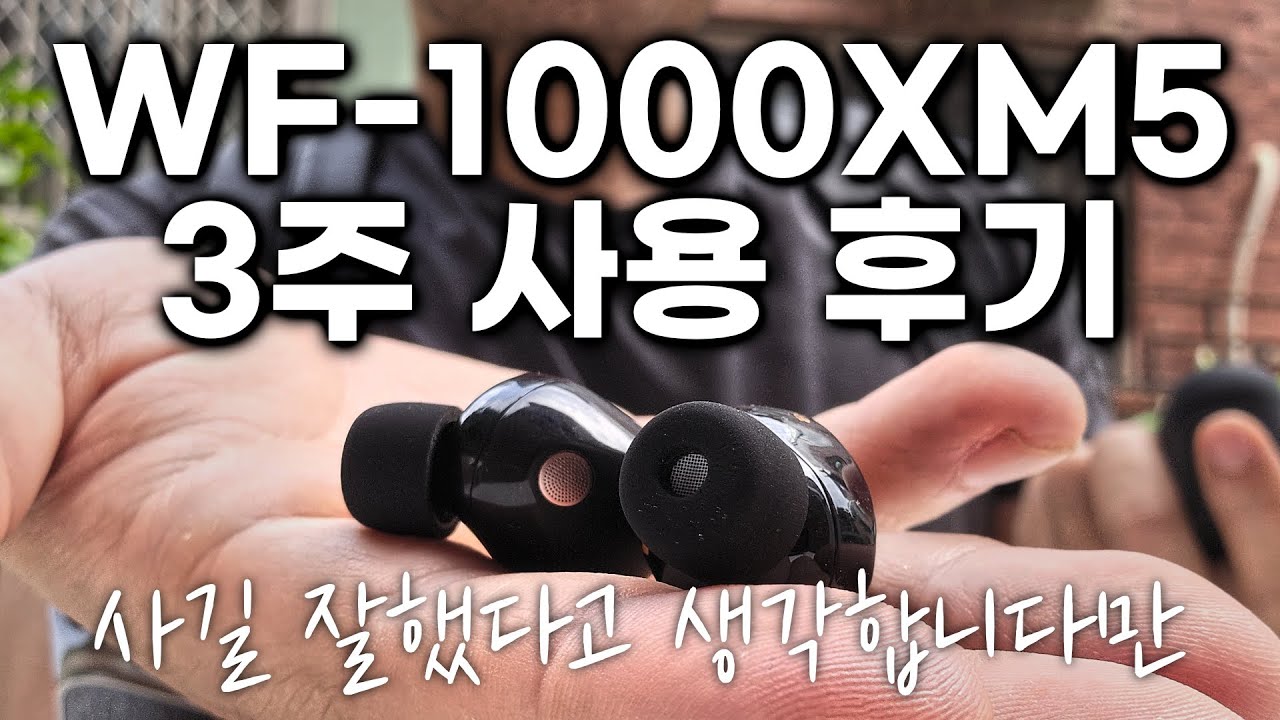 써보고 맘에 들어서 저도 샀습니다! 새로운 소니 무선 이어폰 WF-1000XM5 3주 사용기