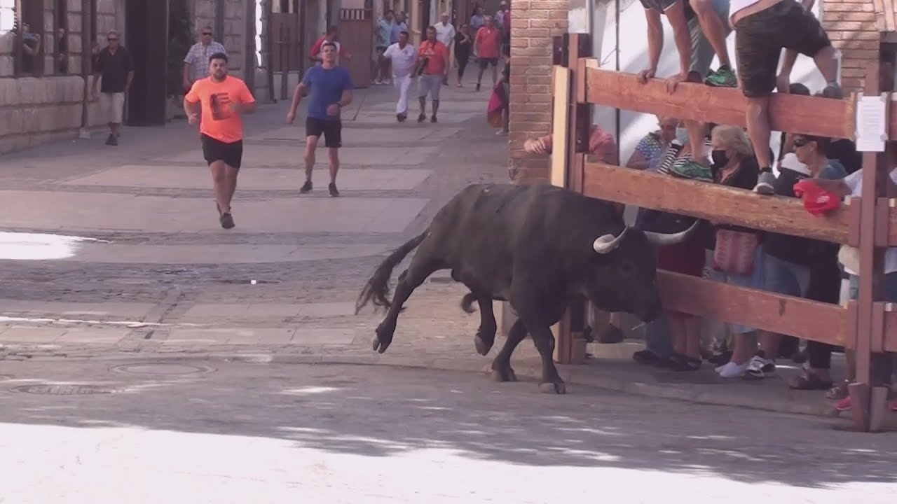 ENCIERRO DE TORRELAGUNA  5 09 2022