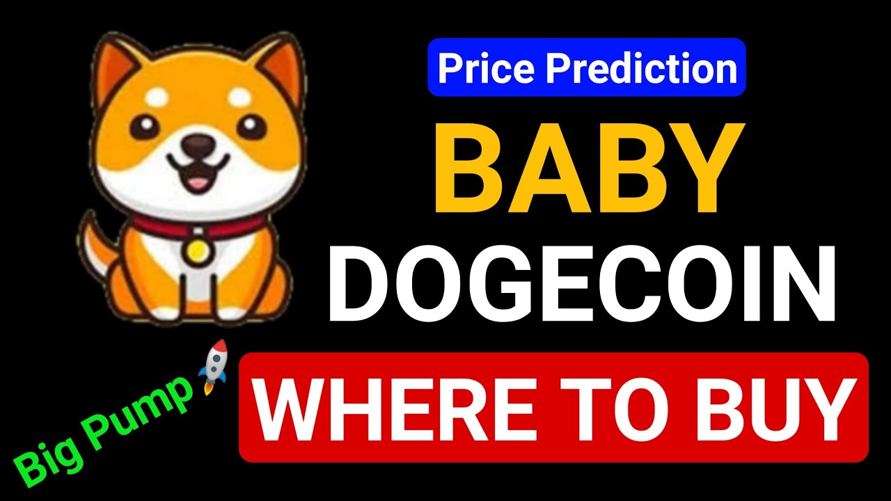 Where to Buy Baby Dogecoin Baby Doge 1000X Price Pump in 2022 Buy