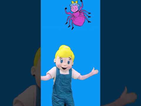 Itsy Bitsy Spider
