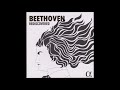 ベートーヴェン　ピアノ協奏曲第6番第１楽章　スホーンデルヴルト(p) クリストフォリ・アンサンブル