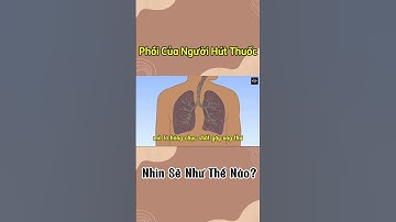 Phổi Của Người Hút Thuốc Nhìn Sẽ Như Thế Nào?