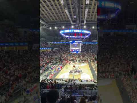 Türkiye vs Sırbistan basketbol dünya kupası Cedi Osman Alperen Şengün Furkan Korkmaz Shane Larkin