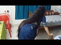 Very Beautiful Open Long Hair Beauty 