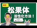 【松果体を大きくする方法】松果体を活性化させると直感が増す！　#松果体　#量子力学　#ゼロポイントフィールド　#量子力学的習慣術