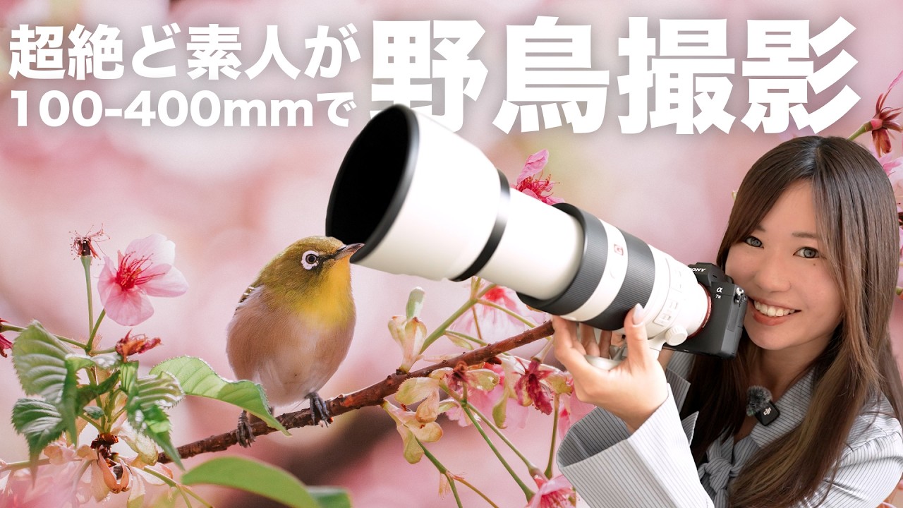 ✨美品✨Nikon D3100✨ダブルレンズ✨少シャッター✨桜や野鳥撮影も 