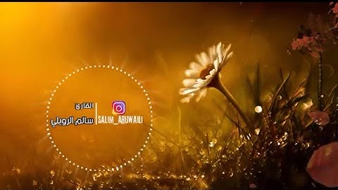 تلاوة هادئه - آمَنَ الرَّسُولُ بِمَا أُنزِلَ إِلَيْهِ - || ابداع سالم الرويلي salem alrwiliy