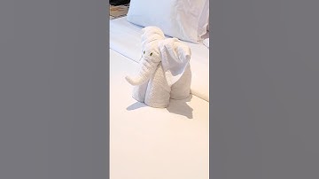 Elephant Towel Art || AR LOVE #arlove106 #shots #shortsfeed #towelanimal #towelart