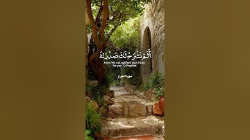 #quran #islam #تلاوات_خاشعة #قرآن_كريم #اذكار