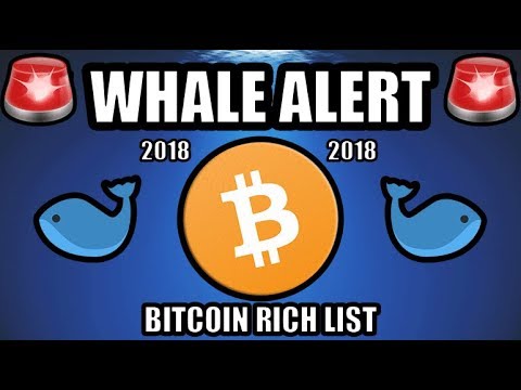 Bitcoin Rich List Bitcoin Rich List